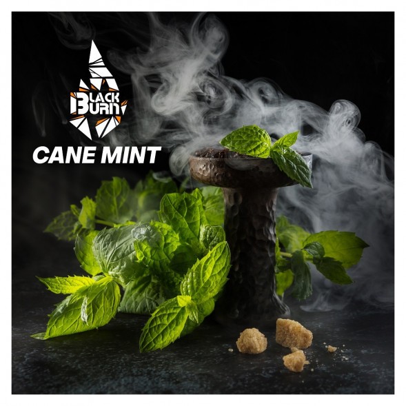 Табак BlackBurn - Cane Mint (Тростниковая Мята, 25 грамм) купить в Тюмени