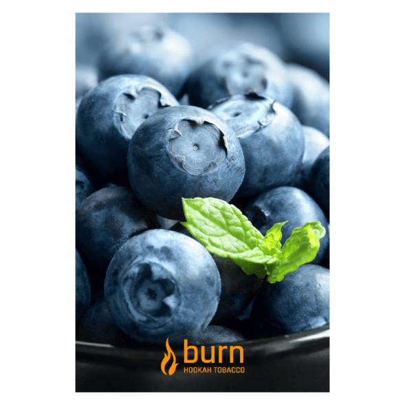 Табак Burn - Blueberry Mint (Черника с Мятой, 100 грамм) купить в Тюмени