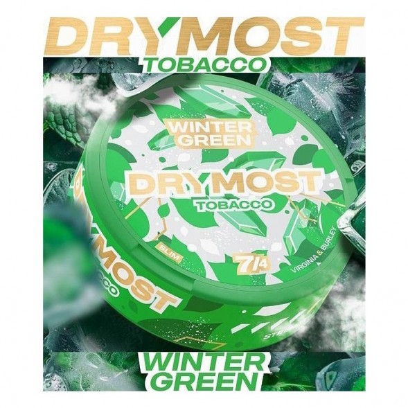 Табак жевательный DryMost - Winter Green (12 грамм) купить в Тюмени