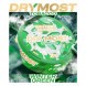 Табак жевательный DryMost - Winter Green (12 грамм) купить в Тюмени