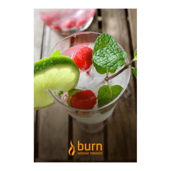 Табак Burn - Kamikaze (Лайм Малина Лед, 100 грамм) купить в Тюмени
