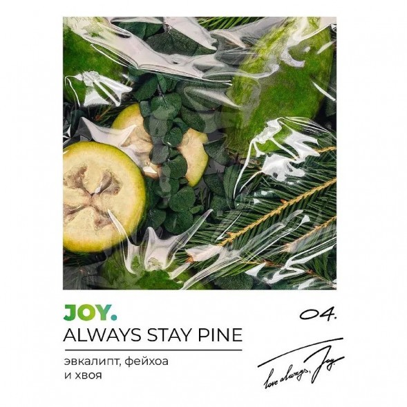 Табак Joy - Always Stay Pine (Эвкалипт, Фейхоа и Хвоя, 200 грамм) купить в Тюмени
