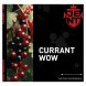 Табак Jent - Currant WOW (Кислая Смородина, 100 грамм) купить в Тюмени