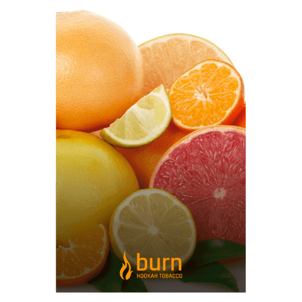 Табак Burn - Sundaysun (Цитрусовый Микс, 100 грамм) купить в Тюмени