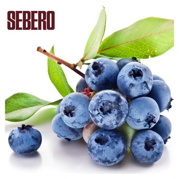 Табак Sebero - Blueberry (Голубика, 25 грамм) купить в Тюмени
