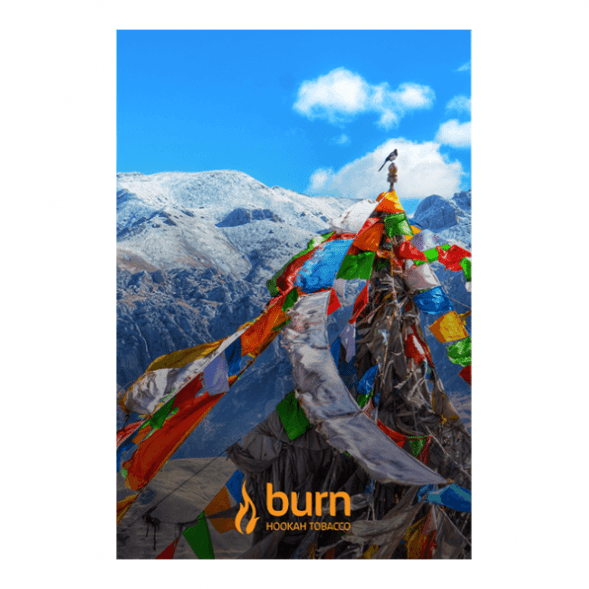 Табак Burn - Tibet (Индийские Специи, 100 грамм) купить в Тюмени