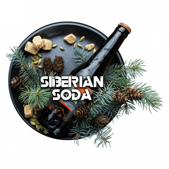 Табак BlackBurn - Siberian Soda (Лимонад Байкал, 25 грамм) купить в Тюмени
