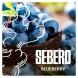 Табак Sebero - Blueberry (Голубика, 100 грамм) купить в Тюмени