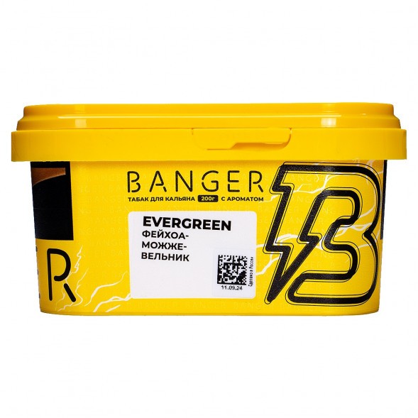 Табак Banger - Evergreen (Фейхоа Можжевельник, 200 грамм) купить в Тюмени