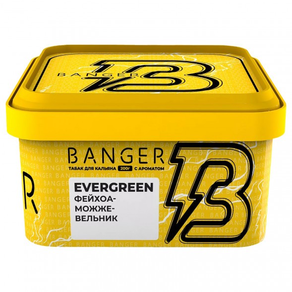 Табак Banger - Evergreen (Фейхоа Можжевельник, 200 грамм) купить в Тюмени