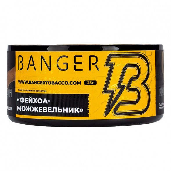 Табак Banger - Evergreen (Фейхоа Можжевельник, 25 грамм) купить в Тюмени