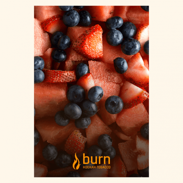 Табак Burn - Berried Treasure (Ягодный Микс, 25 грамм) купить в Тюмени