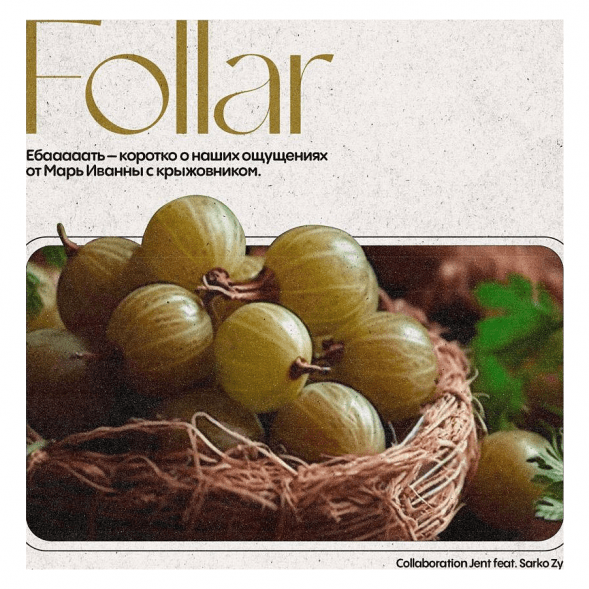 Табак Jent - Follar (Марь Иванна с Крыжовником, 200 грамм) купить в Тюмени