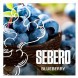 Табак Sebero - Blueberry (Голубика, 200 грамм) купить в Тюмени