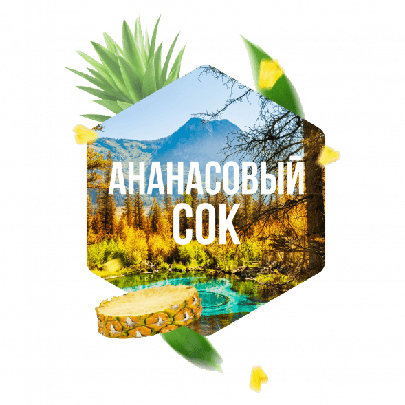 Табак Сарма - Ананасовый Сок (100 грамм) купить в Тюмени