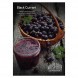 Табак Must Have - Black Currant (Черная Смородина, 125 грамм) купить в Тюмени