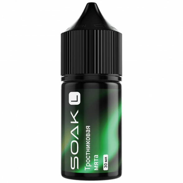 Жидкость SOAK L30 - Cane Mint (Тростниковая Мята, 30 мл, 2 мг) купить в Тюмени