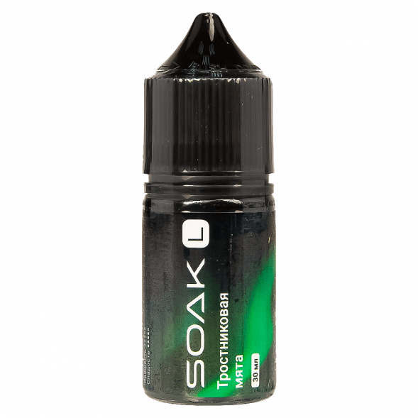 Жидкость SOAK L30 - Cane Mint (Тростниковая Мята, 30 мл, 2 мг) купить в Тюмени