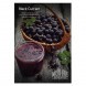 Табак Must Have - Black Currant (Черная Смородина, 25 грамм) купить в Тюмени