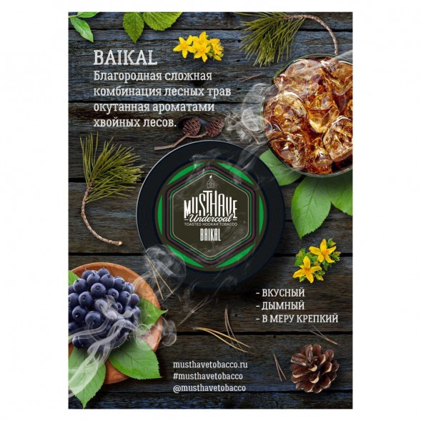 Табак Must Have - Baikal (Байкал, 25 грамм) купить в Тюмени