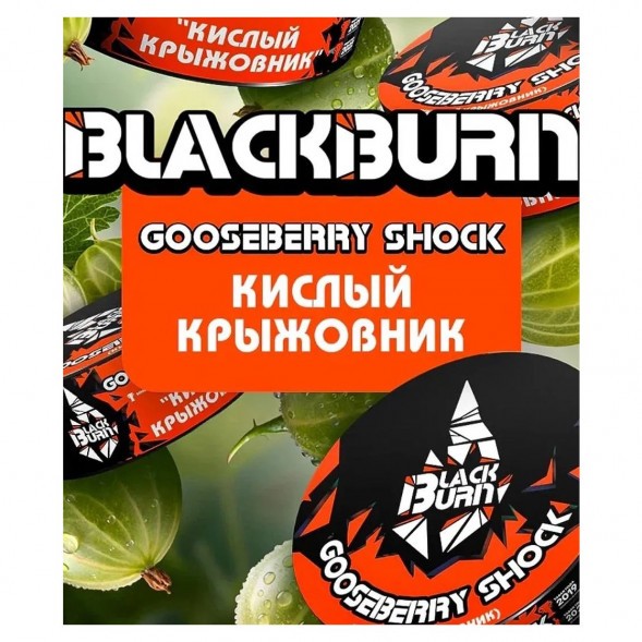 Табак BlackBurn - Gooseberry Shock (Кислый Крыжовник, 100 грамм) купить в Тюмени