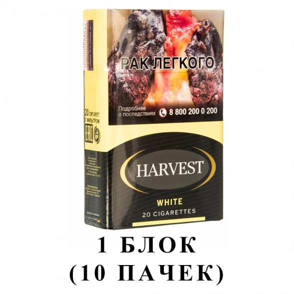 Сигареты Harvest - White King Size (блок 10 пачек) купить в Тюмени