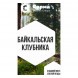 Табак Сарма - Байкальская Клубника (200 грамм) купить в Тюмени