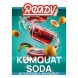 Табак Ready - №3 Kumquat Soda (Газировка, Кумкват, 25 грамм) купить в Тюмени