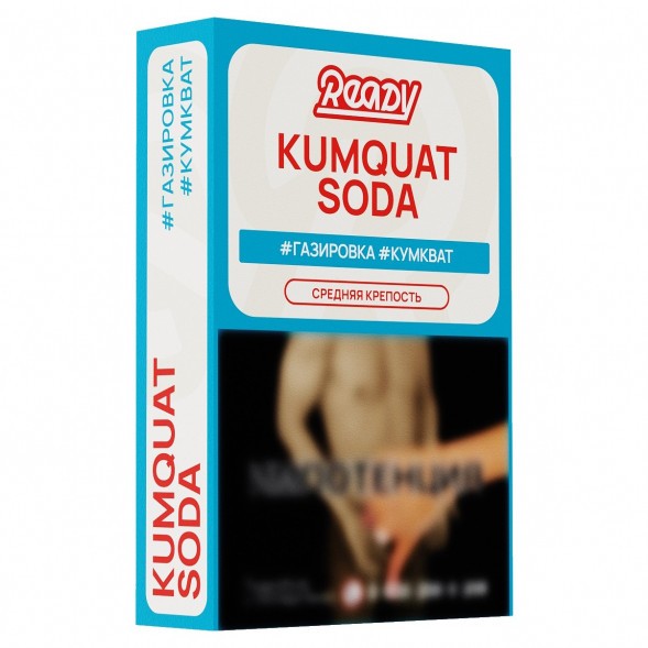Табак Ready - №3 Kumquat Soda (Газировка, Кумкват, 25 грамм) купить в Тюмени