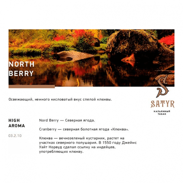 Табак Satyr - North Berry (Северная Ягода, 25 грамм) купить в Тюмени