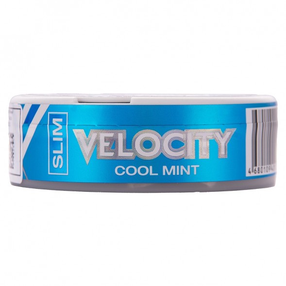 Табак жевательный DryMost - Velocity Mini (12 грамм) купить в Тюмени