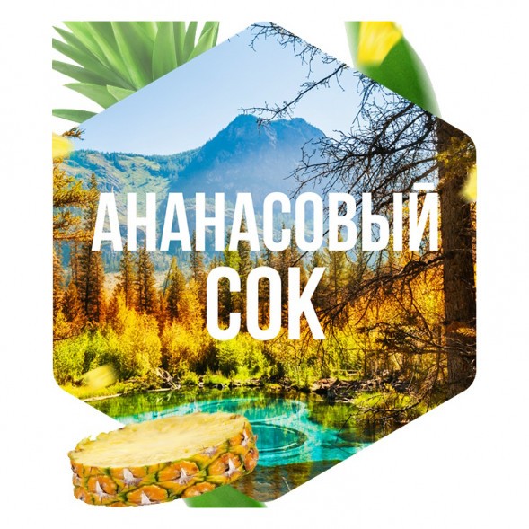 Табак Сарма - Ананасовый Сок (40 грамм) купить в Тюмени