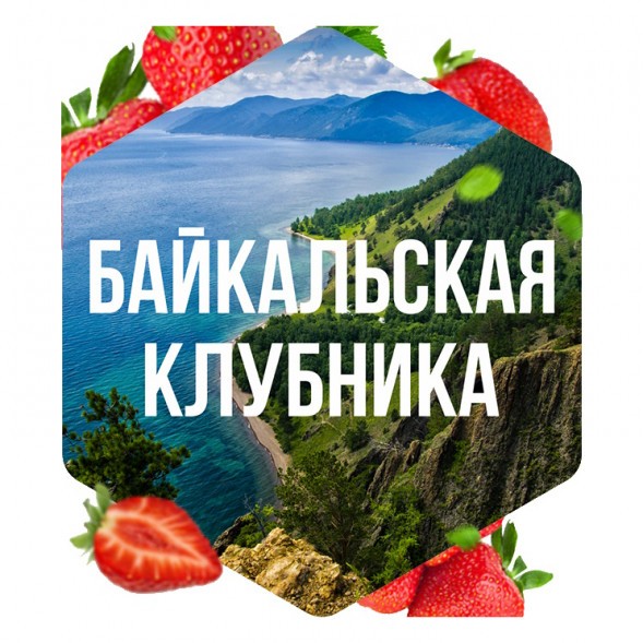 Табак Сарма - Байкальская Клубника (40 грамм) купить в Тюмени