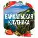 Табак Сарма - Байкальская Клубника (40 грамм) купить в Тюмени