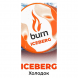 Табак Burn - Iceberg (Холодок, 25 грамм) купить в Тюмени