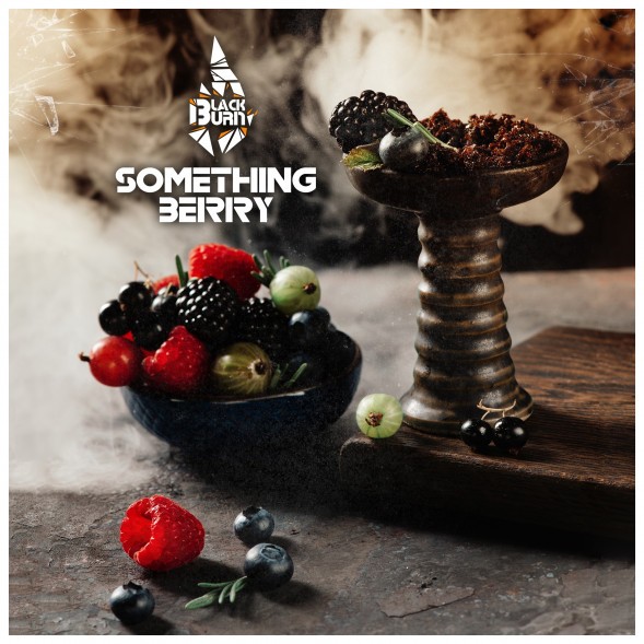 Табак BlackBurn - Something Berry (Что-то Ягодное, 25 грамм) купить в Тюмени