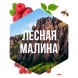 Табак Сарма - Лесная Малина (40 грамм) купить в Тюмени