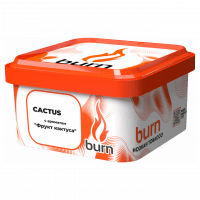 Табак Burn - Cactus (Кактус, 200 грамм) — 